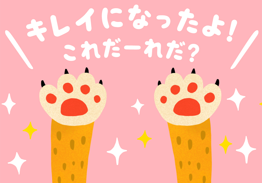 AR（拡張現実）を利用した新しいゲーム体験【kininaru GAMES（キニナルゲームス）】を導入！多彩な遊びで体を動かして成長へ@深谷店・画像