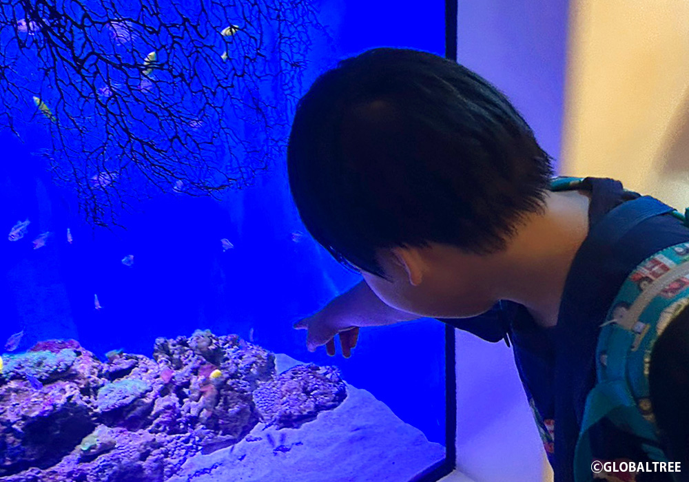 【お出かけレクリエーション】アクアワールド茨城県大洗水族館にて、生きものたちに興味津々！ルールを守って楽しく過ごしました＠西川田店・画像