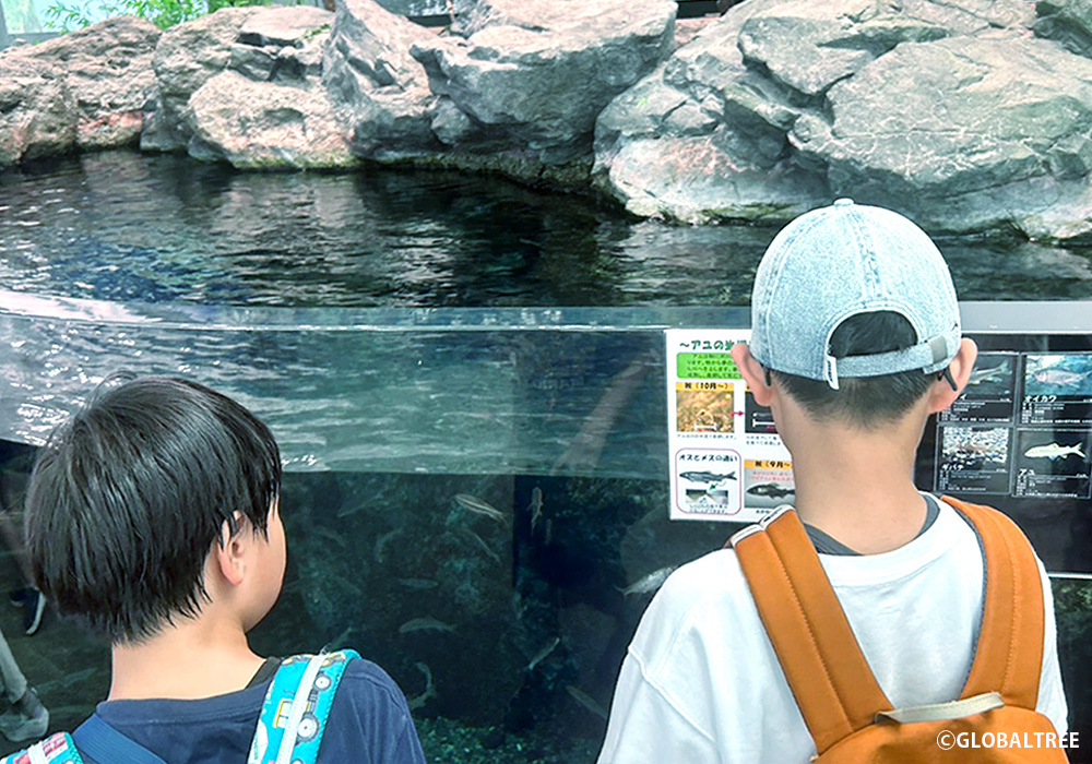 【お出かけレクリエーション】アクアワールド茨城県大洗水族館にて、生きものたちに興味津々！ルールを守って楽しく過ごしました＠西川田店・画像